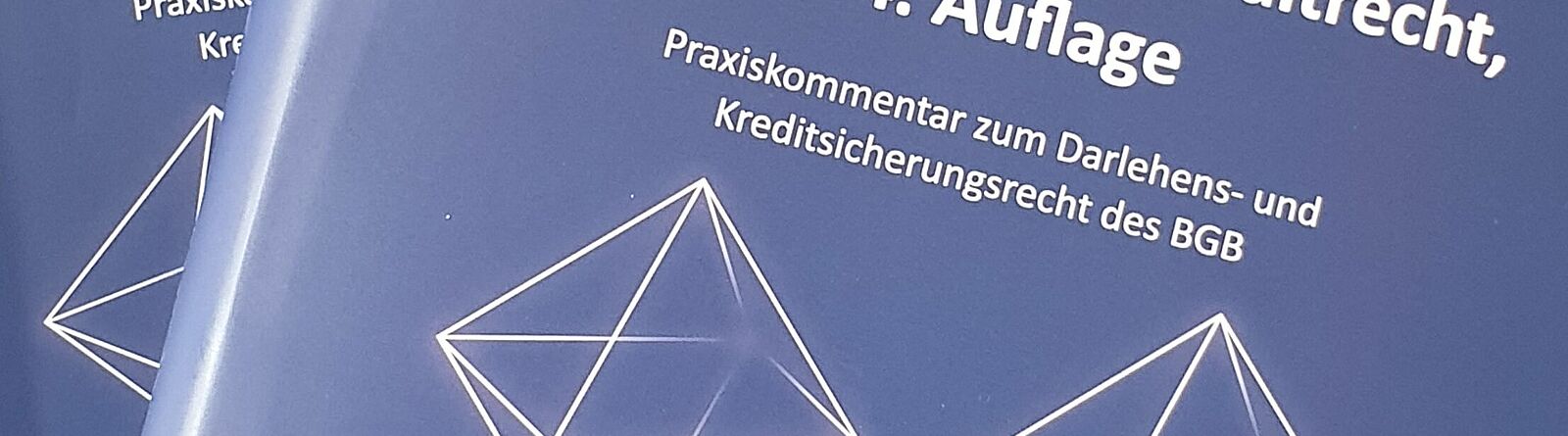 Der Kommentar zum Kreditrecht mit einem Beitrag unseres Partners veröffentlicht.