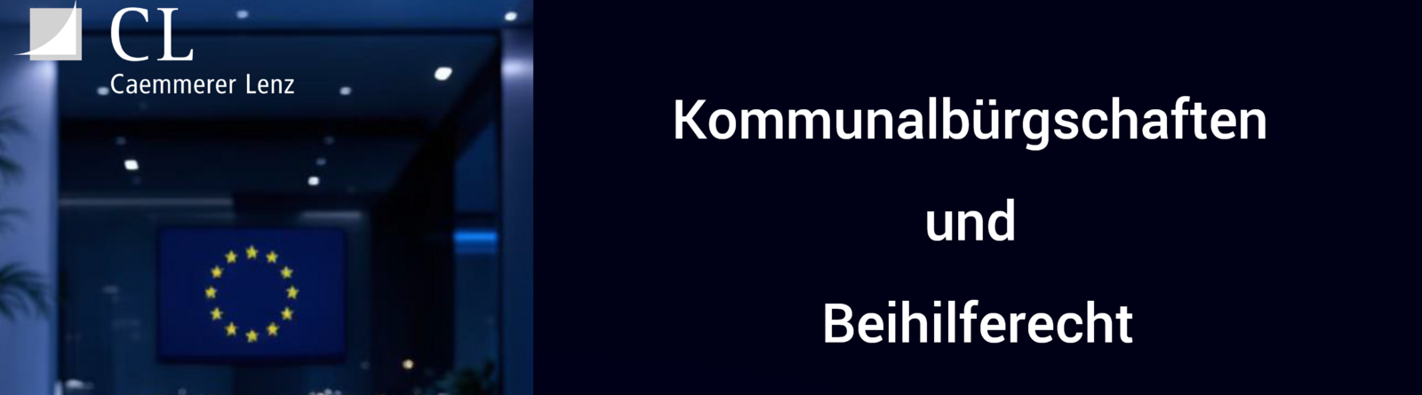 Kommunalbürgschaften und Beihilferecht. Für Städte und Gemeinden, für Banken und Unternehmen