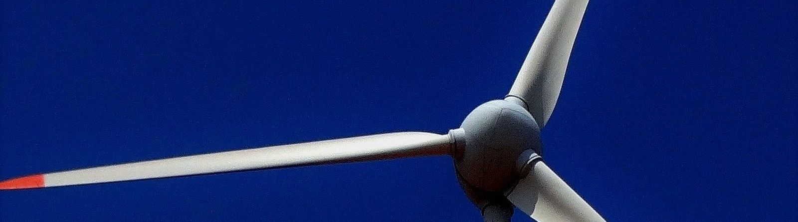 Der „Koalitionsvertrag 2021 – 2025“ sieht Regelungen vor, die an entscheidenden Stellen gegen höherrangiges Recht verstoßen.